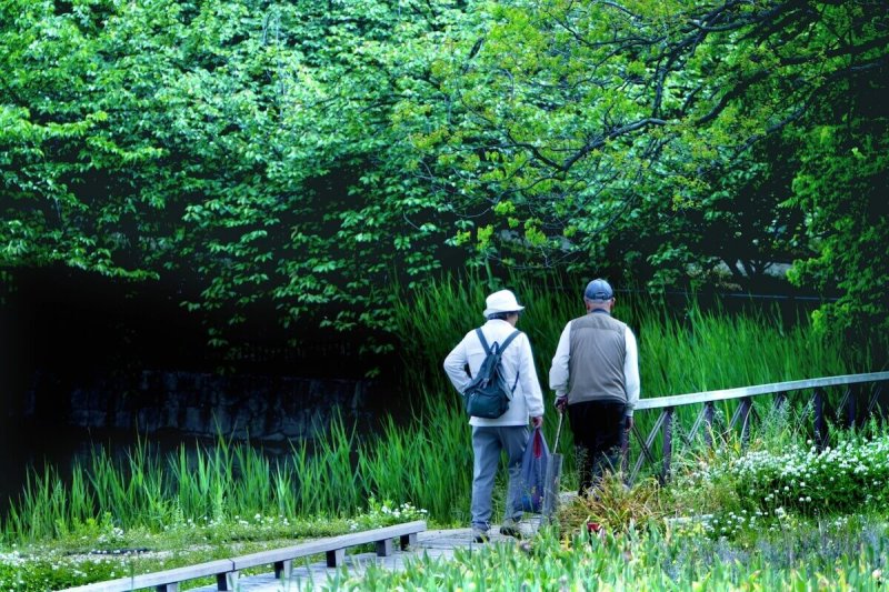 コロナ禍で高齢者が旅行をする時に心配するポイント