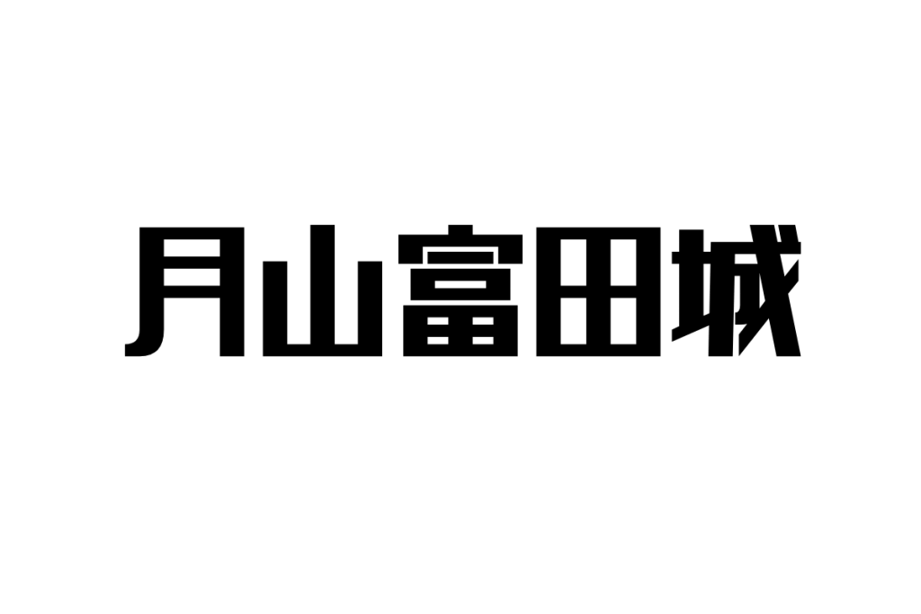 シニア世代が感じる月山富田城—歴史を超えて心に残る天空の城
