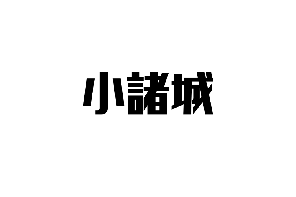 シニアが愛する小諸城—歴史と自然が融合する静寂の名城