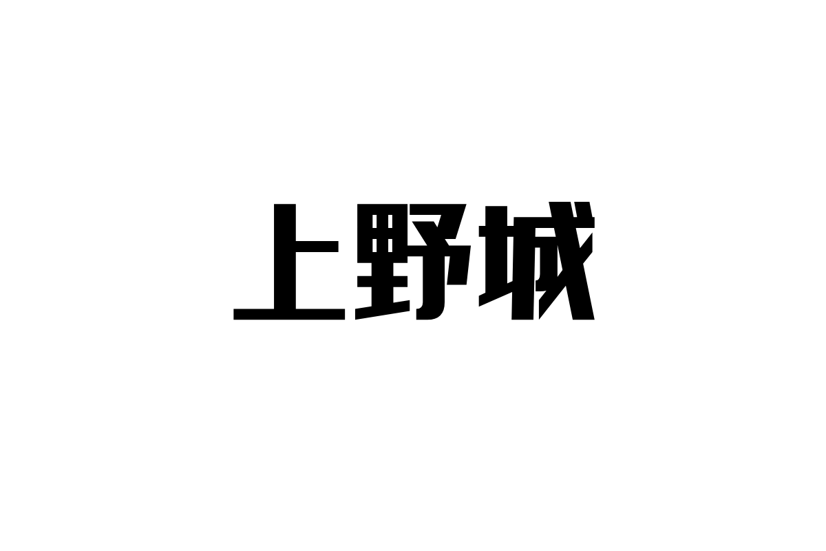 シニアが見る上野城—歴史的な城とシニア層との深い繋がり