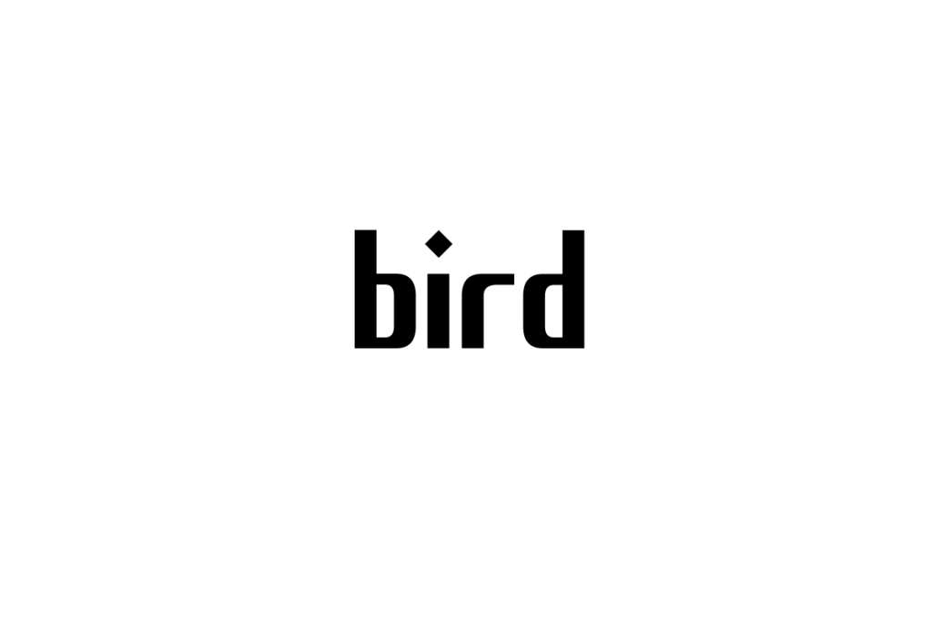 シニア世代が「bird」と呼ばれる有名人をどう捉え、その視点をシニアマーケティングに応用する方法