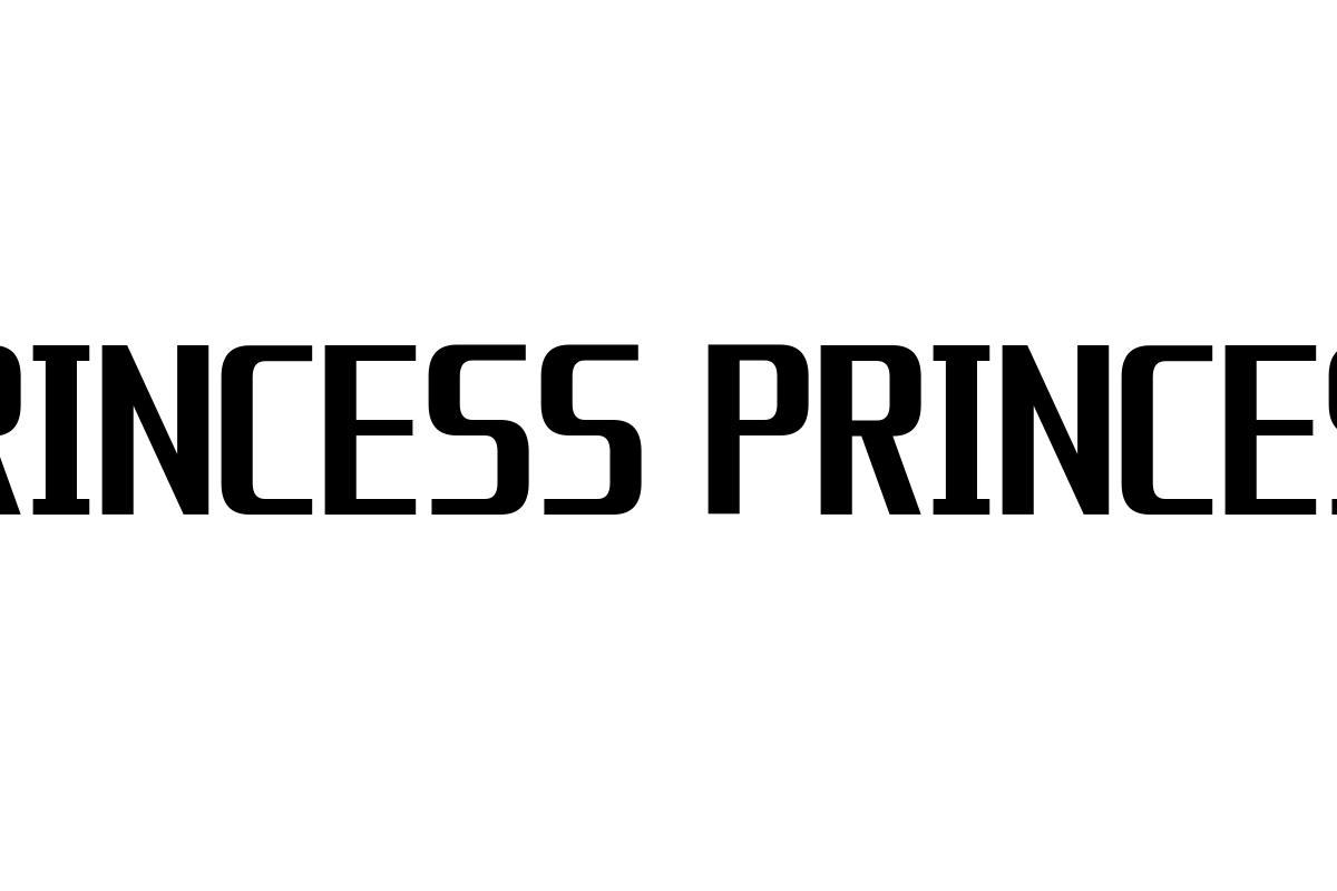 シニアとPRINCESS PRINCESSの関係性：青春の象徴がもたらす感情的つながりとマーケティング戦略の可能性