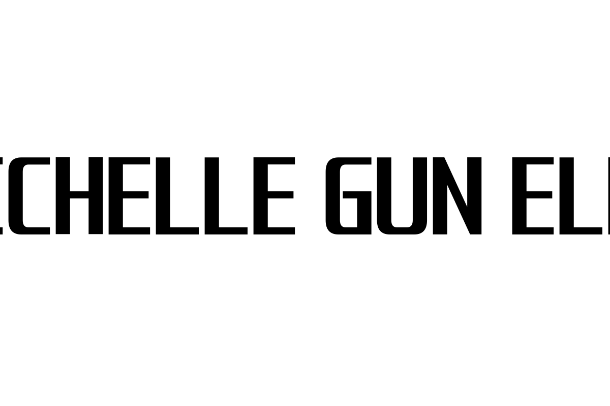 シニア世代とTHEE MICHELLE GUN ELEPHANTの関係性：音楽を通じたマーケティング戦略の考察