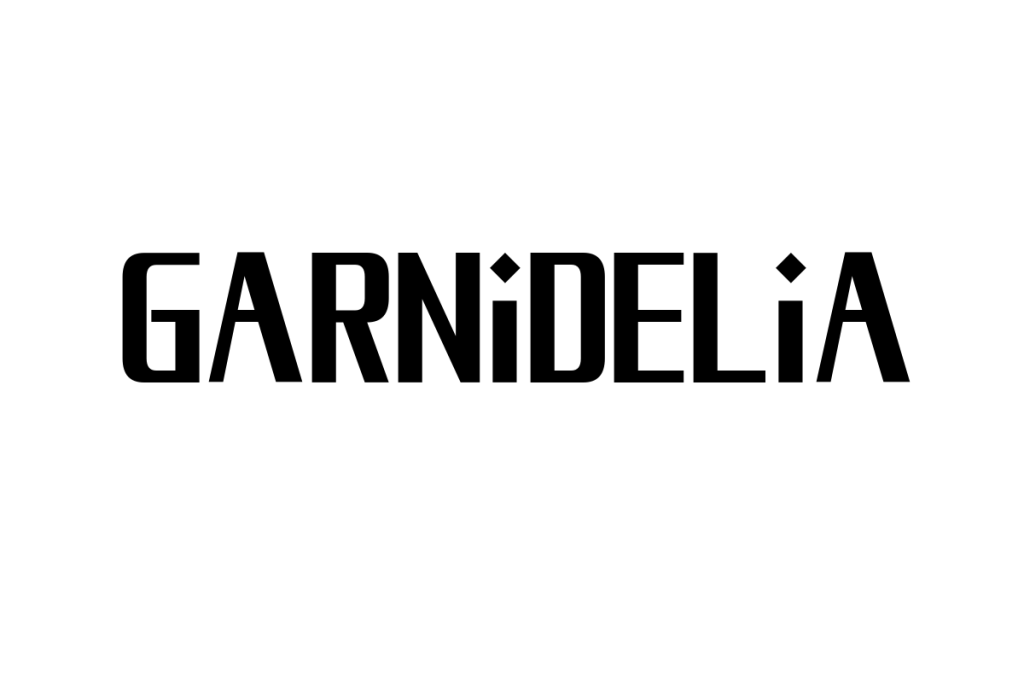 シニア層がGARNiDELiAをどう楽しむか：音楽と共感の架け橋を探るマーケティング戦略