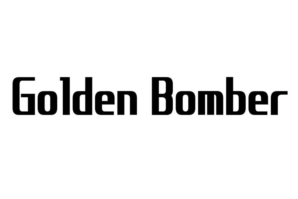 シニア層が考えるGolden Bomberの魅力とシニアマーケティングへの応用方法