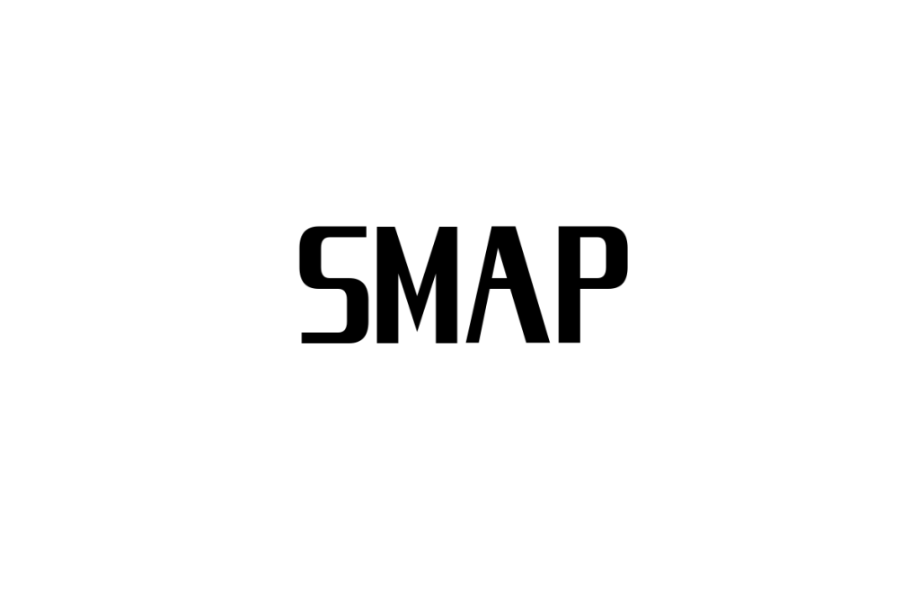 シニア層が見るSMAPの魅力とその視点を活かしたシニアマーケティング戦略の考察