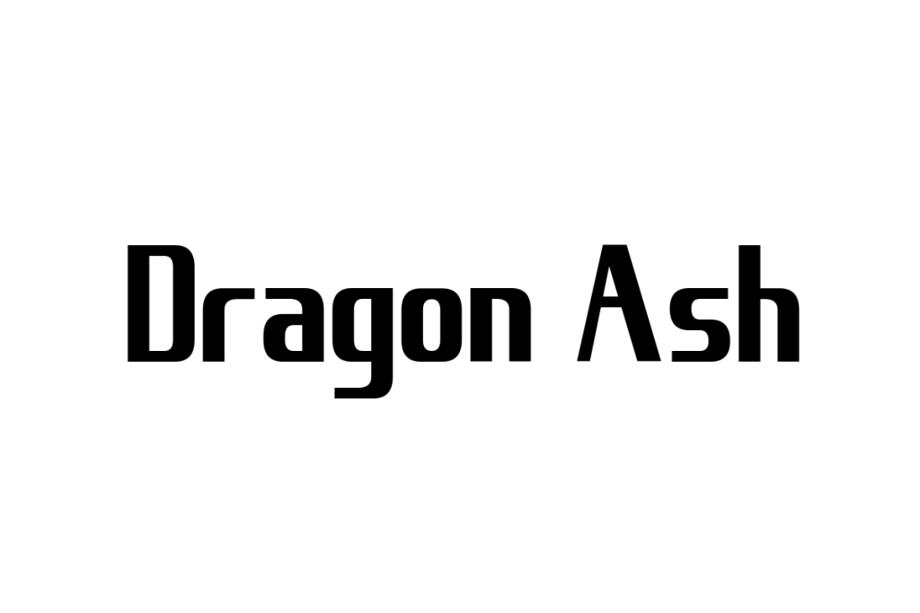 シニア世代とDragon Ash：音楽が繋ぐ世代間の絆とマーケティングの可能性