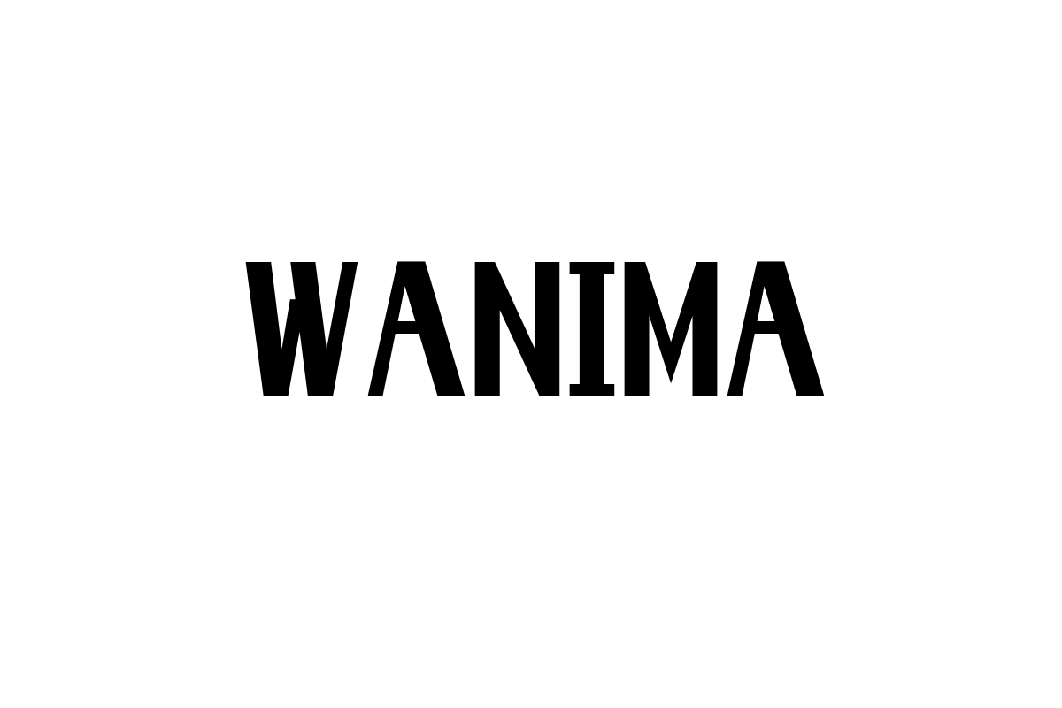 シニア世代とWANIMA：音楽がもたらす共感の力とシニアマーケティングへの応用
