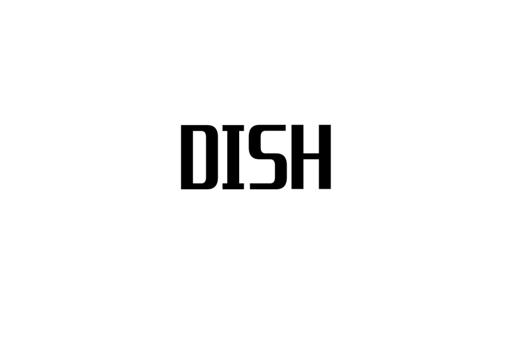DISHとシニア層の関係性：共感を呼ぶ音楽がマーケティングに与える影響と可能性