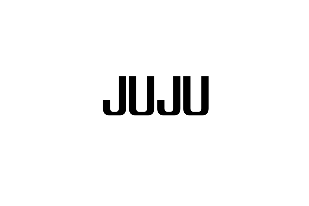 シニア層とJUJUの音楽：共感とマーケティング戦略の可能性