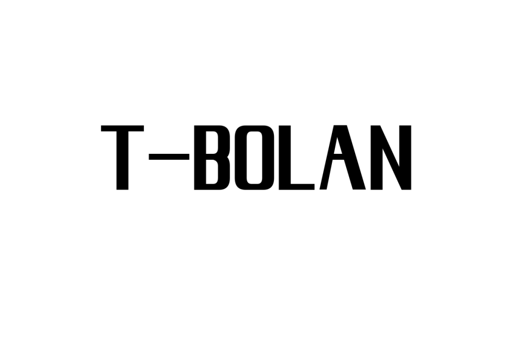 T-BOLANとシニア世代の関係性：ノスタルジアを活かしたマーケティング戦略の考察