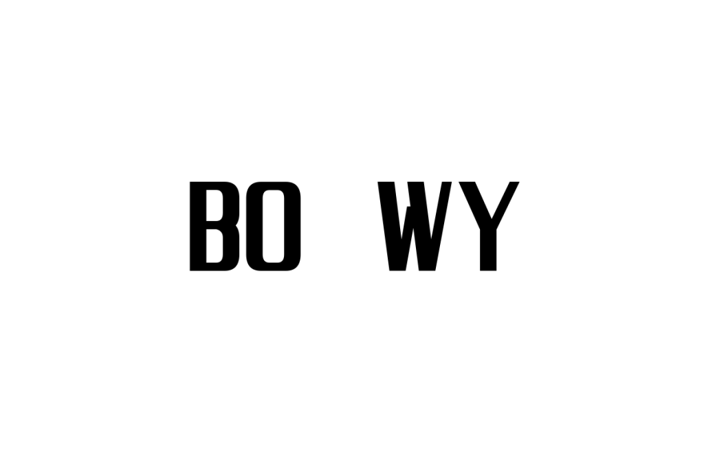 シニア世代とBOØWYの音楽: 懐かしさと共感を通じたマーケティング戦略の可能性