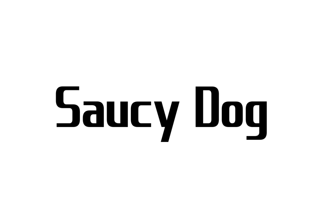 シニア層がSaucy Dogをどう考えるか：音楽の魅力とマーケティング戦略への応用