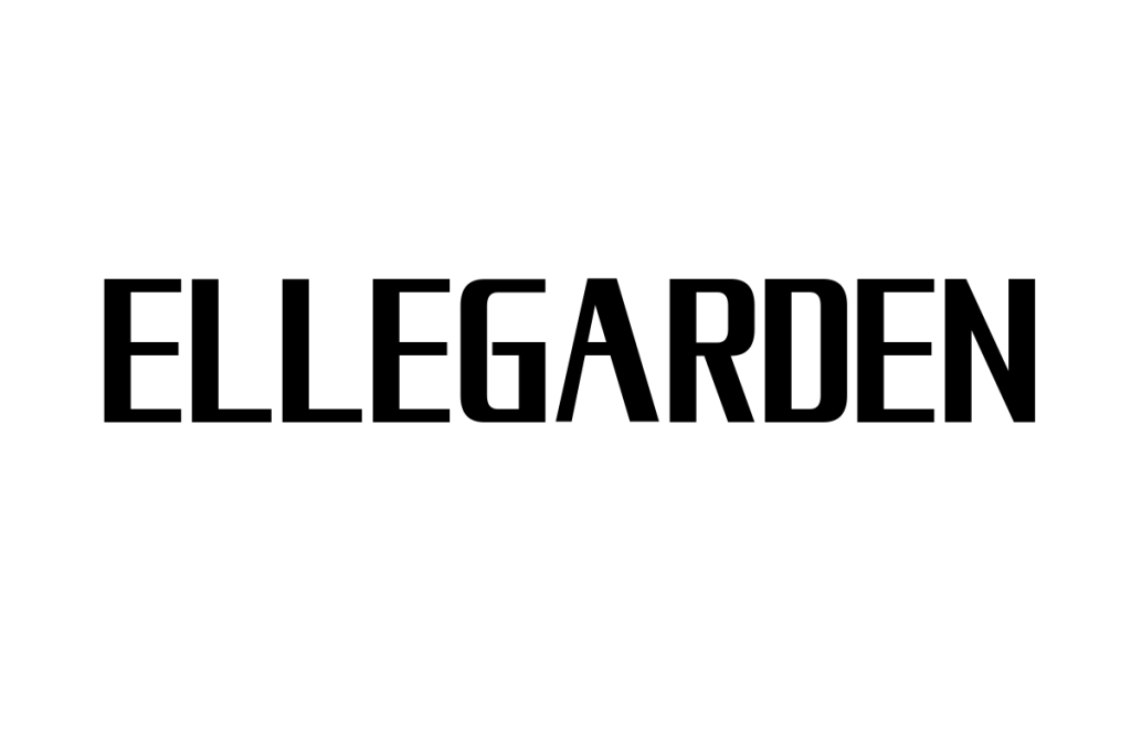 シニア層がELLEGARDENをどう考えるか：音楽を通じた世代間のつながりとマーケティングの可能性