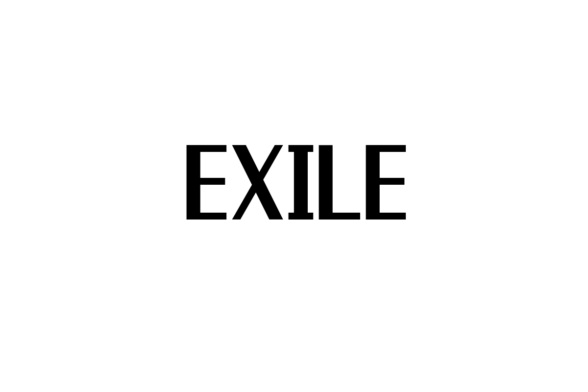 シニア世代とEXILEの関係性：音楽がもたらす共感とシニアマーケティングへの応用