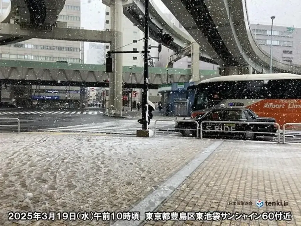 東京に降る「なごり雪」 シニア世代が感じた思いと反応