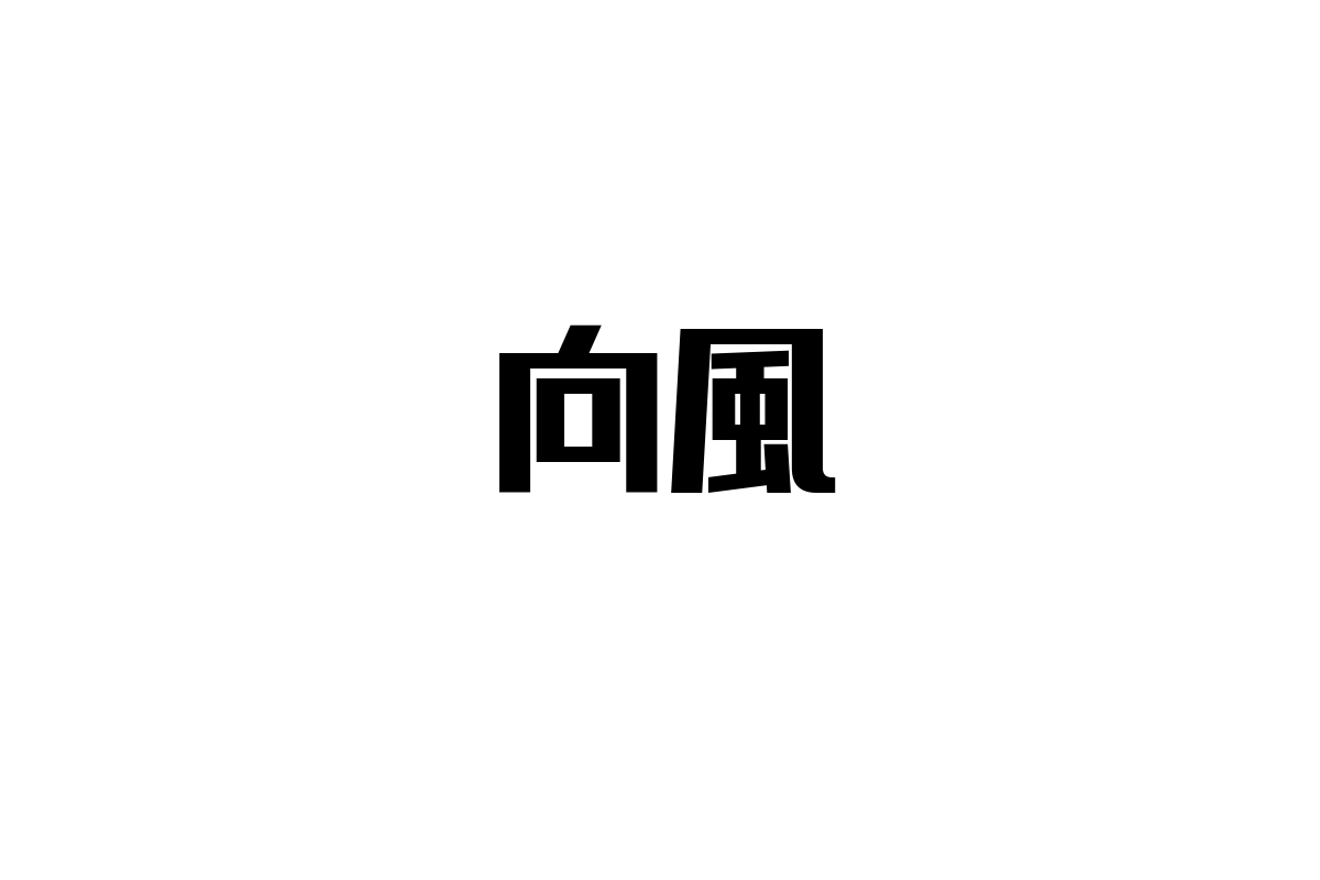 シニア世代と向風の関係性：有名人がもたらす影響とシニアマーケティングへの応用方法