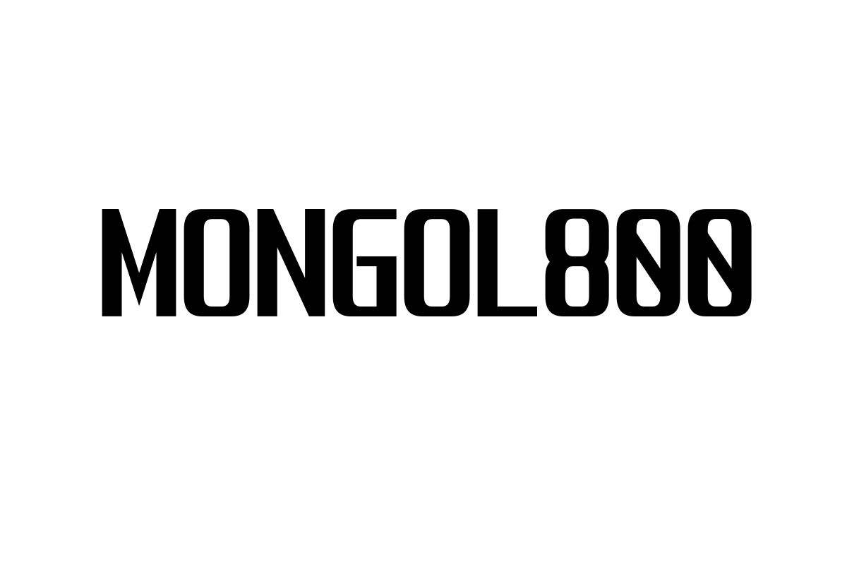 シニア世代とMONGOL800：音楽を通じた共感とマーケティング戦略の考察