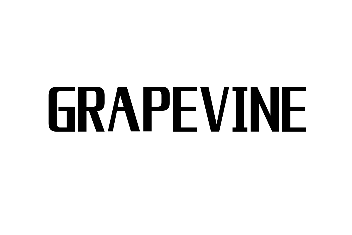 シニア層とGRAPEVINEの関係：視点の考察とマーケティングへの応用方法
