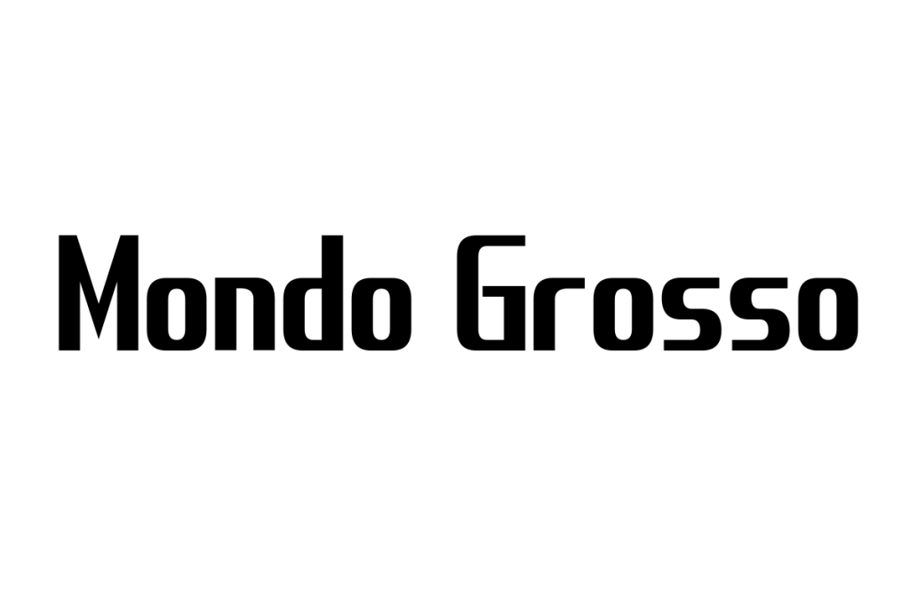シニア層とMondo Grossoの関係性：音楽を通じた新しい文化体験とマーケティング戦略の可能性