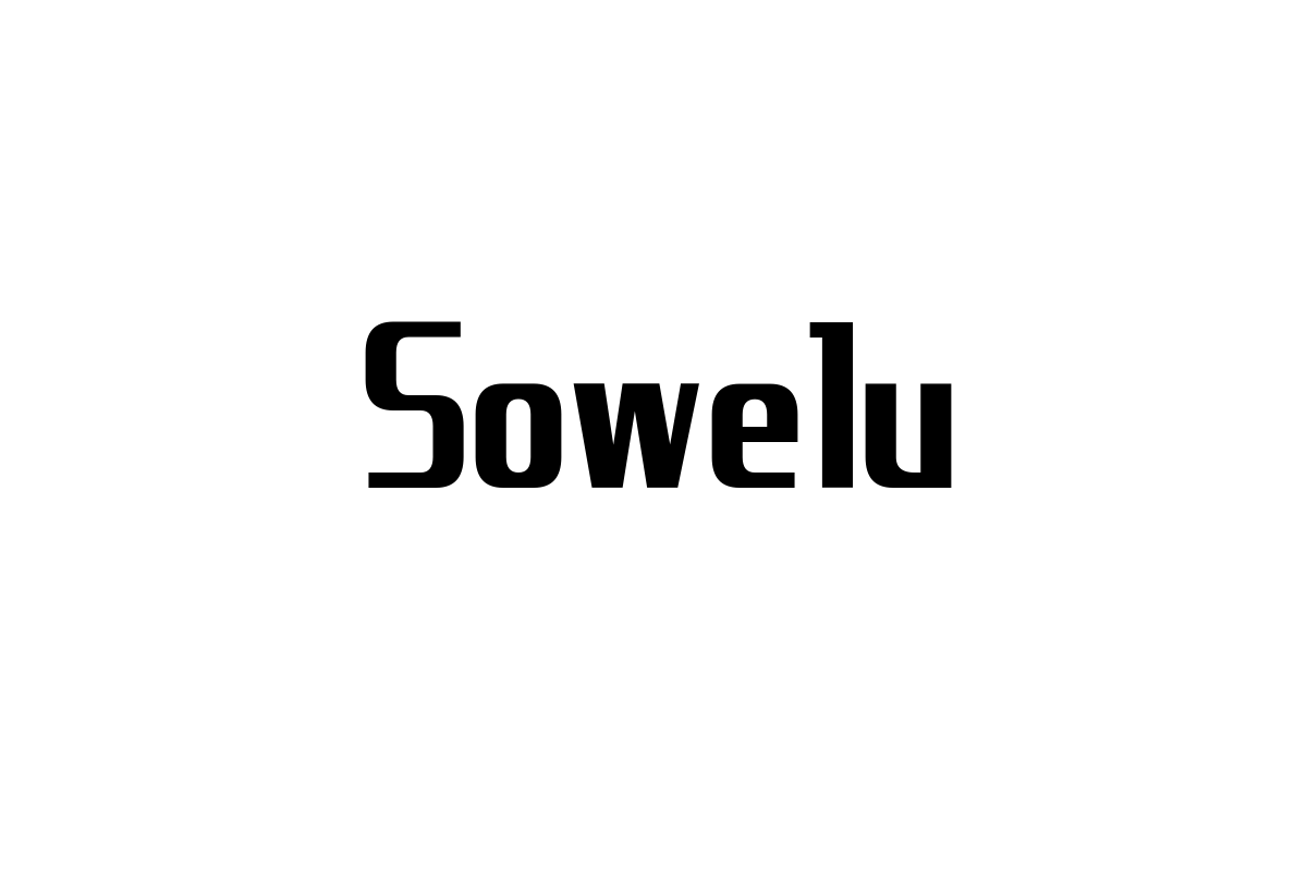 シニア層とSoweluの音楽：感情共鳴とシニアマーケティングへの応用探求