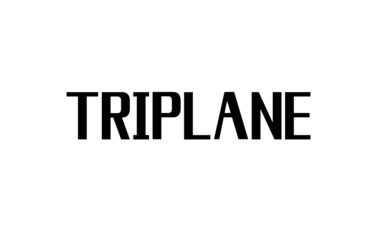 シニア層が見るTRIPLANEの魅力とマーケティング戦略への応用についての考察