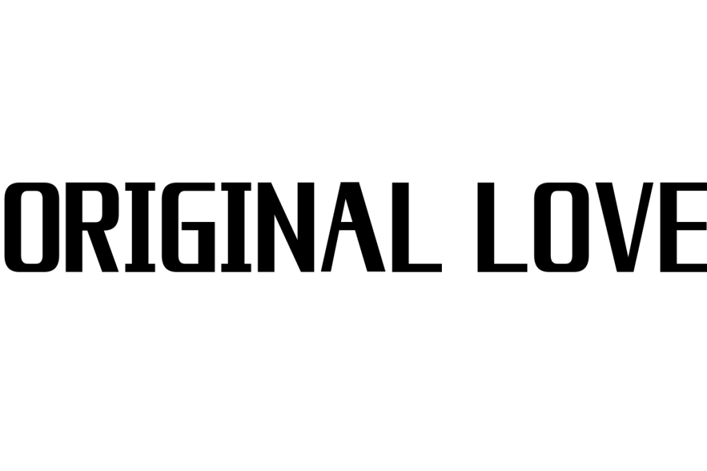 シニア世代とORIGINAL LOVEの関係性：音楽の懐かしさとメッセージ性を活かしたマーケティング戦略