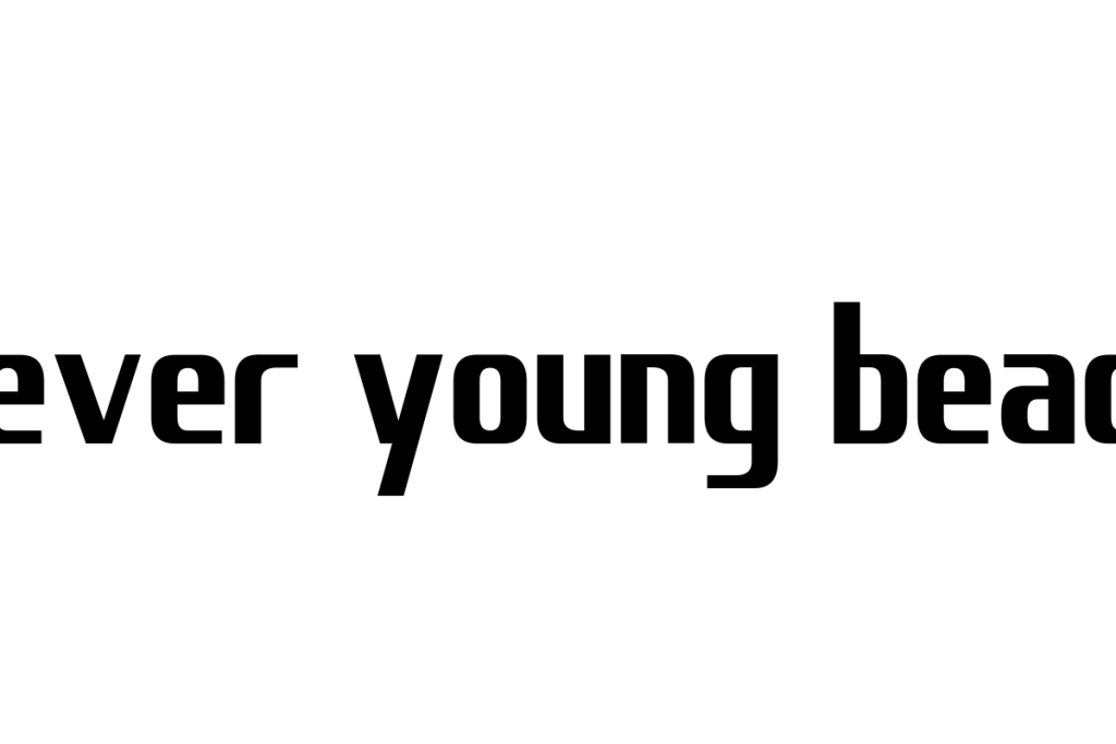シニア世代が考える「never young beach」とその音楽的影響：マーケティング戦略への応用