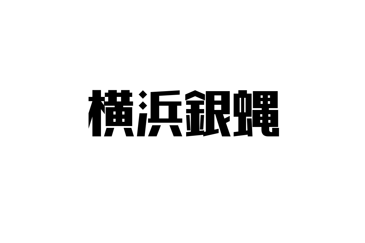 シニア層と横浜銀蝿：音楽の力で心を掴むマーケティング戦略