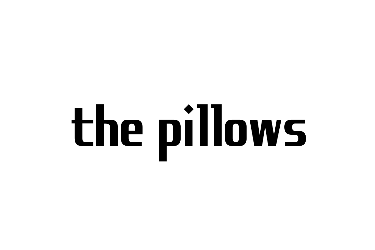 シニア層とthe pillowsの音楽的関係性を分析し世代を超えたマーケティング戦略を提案する
