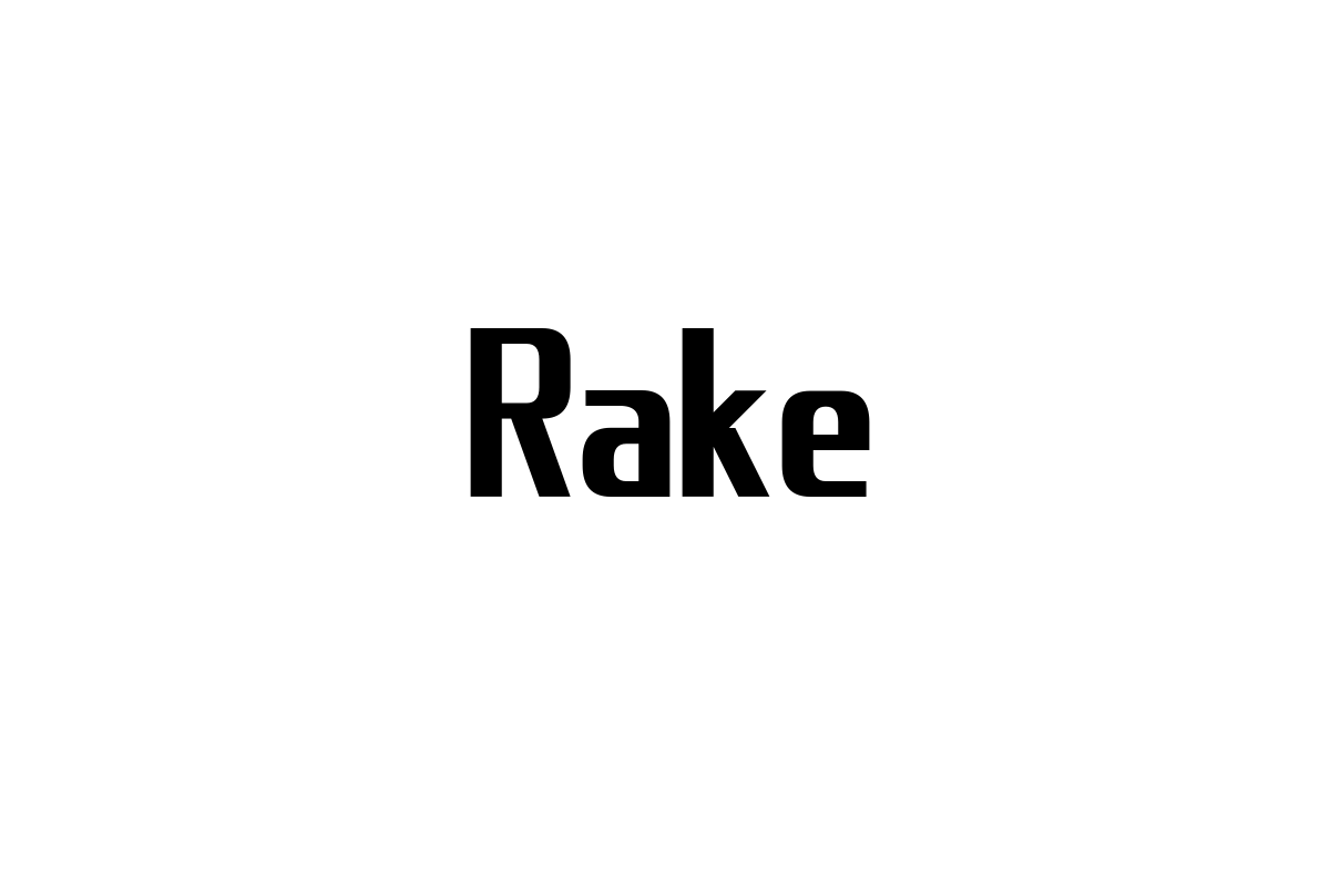 シニア層に響くRakeの音楽文化：価値観とマーケティング施策への応用可能性