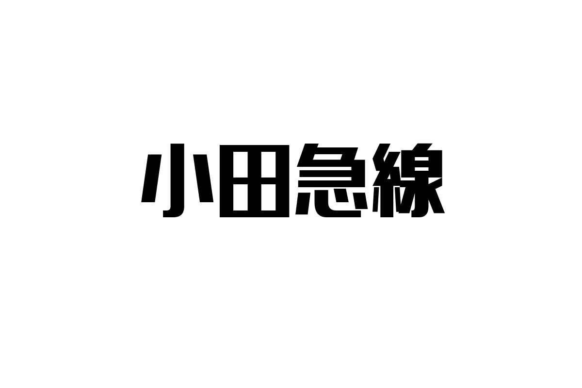 シニア層の暮らしと小田急線が切り拓く新たなマーケティングの可能性：沿線価値とトレンド分析