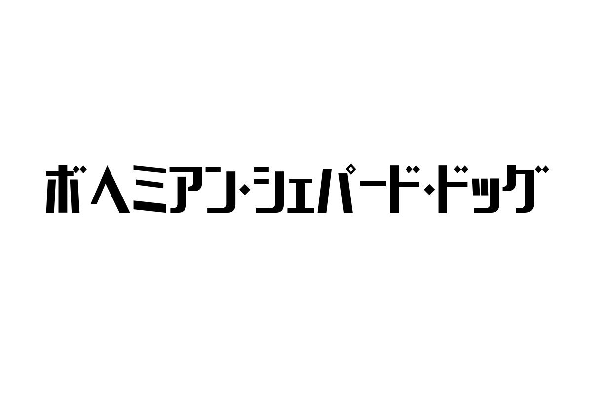 シニア層と共鳴する「ボヘミアン・シェパード・ドッグ」の魅力とマーケティングの可能性
