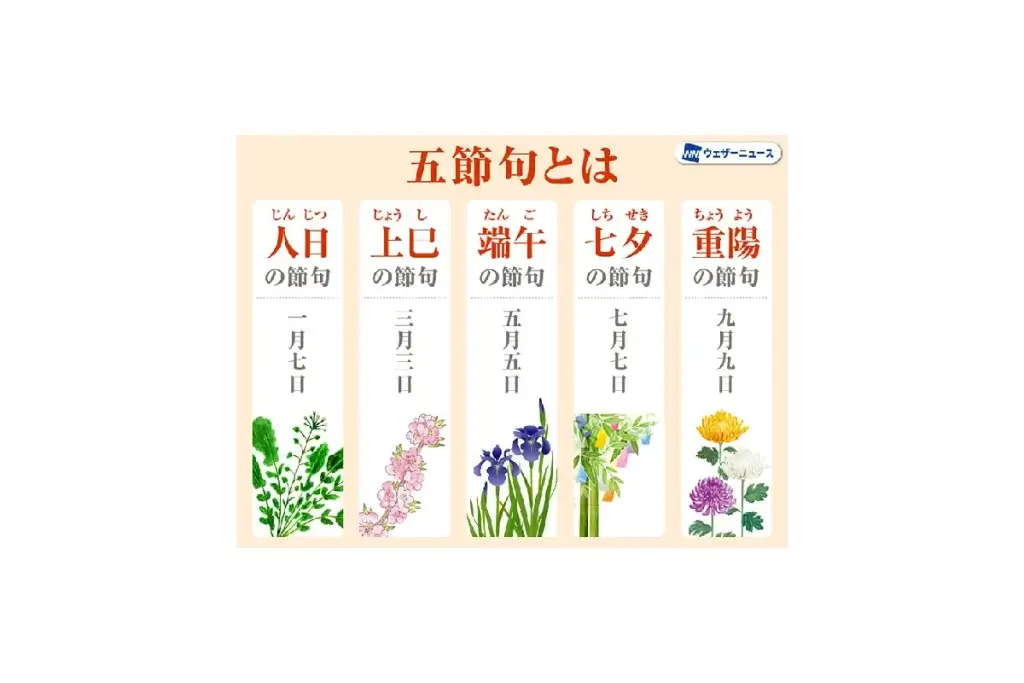 重陽の節句に広がるシニアの関心 ― 菊と栗に込められた長寿の知恵