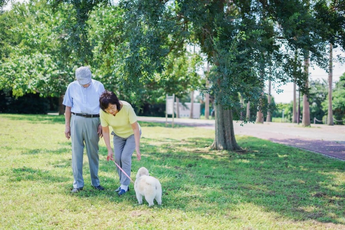 60代とペット：シニア向けペット市場の可能性とマーケティング戦略