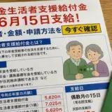 年金生活者支援給付金6月15日支給！対象者・金額・申請方法を今すぐ確認
